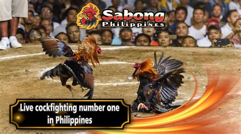 sabong net ph